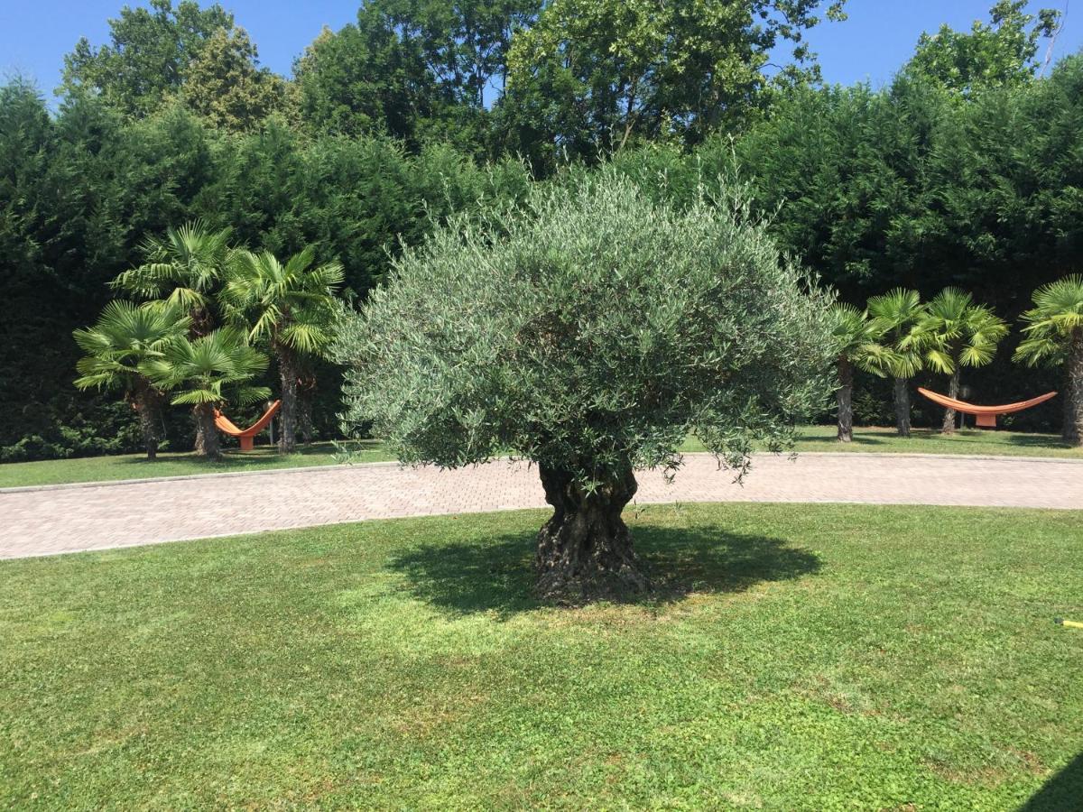 Villa Althea Ronago エクステリア 写真